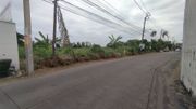 ขายและให้เช่า ที่ดิน 3-3-20 ไร่ เฉลิมพระเกียรติ ร.9 ซอย7 แขวงหนองบอน เขตประเวศ กรุงเทพมหานคร