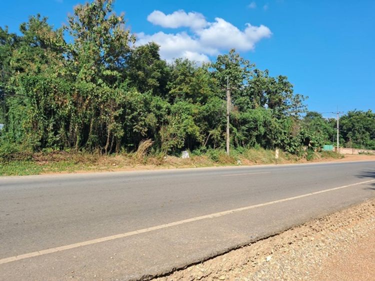 ขาย ที่ดิน ตำบลกลางดง อำเภอทุ่งเสลี่ยม จังหวัดสุโขทัย, ภาพที่ 4