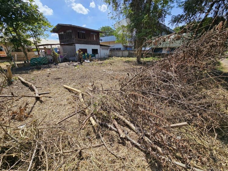 ขาย ที่ดิน ด้านหลังโรงเรียนปทุมทพวิทยาคาร 1 งาน 7.9 ตร.วา, ภาพที่ 4