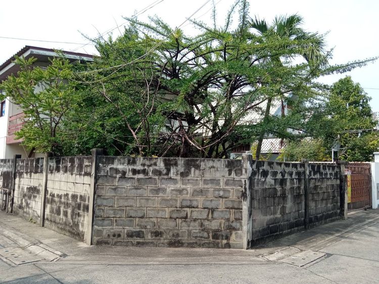 ขายและให้เช่า บ้าน ตำบลตลาดขวัญ อำเภอเมืองนนทบุรี จังหวัดนนทบุรี, ภาพที่ 4
