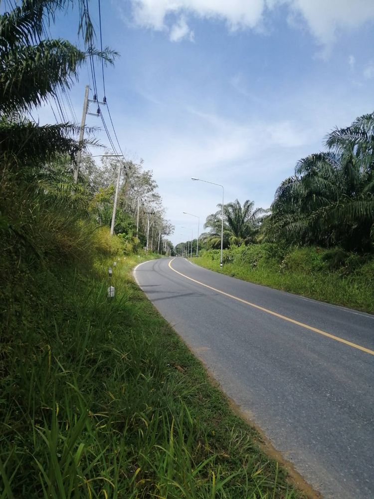 ขาย ที่ดิน ตำบลโคกกลอย อำเภอตะกั่วทุ่ง จังหวัดพังงา, ภาพที่ 4