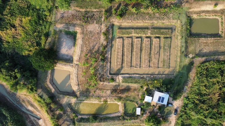 ขายที่ดิน ตำบลท่าฉนวน อำเภอกงไกรลาศ จังหวัดสุโขทัย เลขโฉนด 13915, ภาพที่ 4