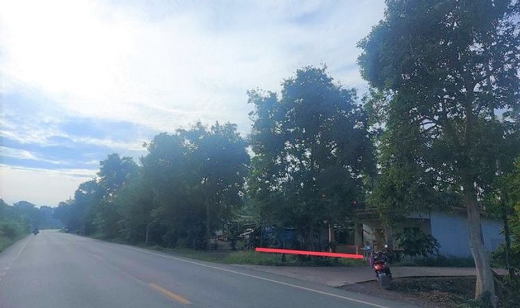 ขายบ้านเดี่ยว         อำเภอรัษฎา  ตรัง (PKK02-12377), ภาพที่ 4