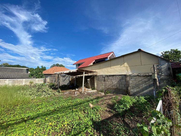 ขายที่ดิน ฟ้าฮ่าม หน้ากว้าง 13 เมตร หลังโลตัสรวมโชค LH-SW000628, ภาพที่ 4