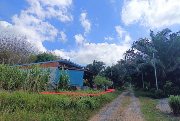 ขายบ้านเดี่ยว       อำเภอวังวิเศษ  ตรัง (PKK02-14980), ภาพที่ 4