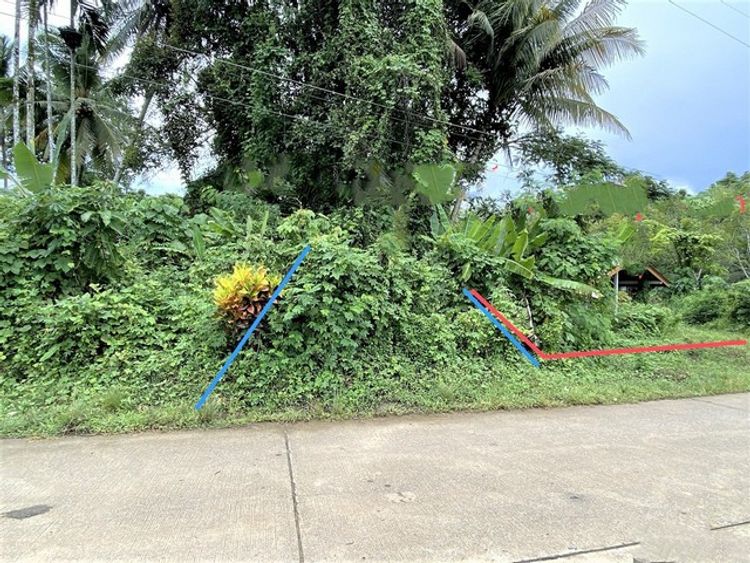 ขายบ้านเดี่ยว         อำเภอรัษฎา  ตรัง (PKK02-15821), ภาพที่ 4