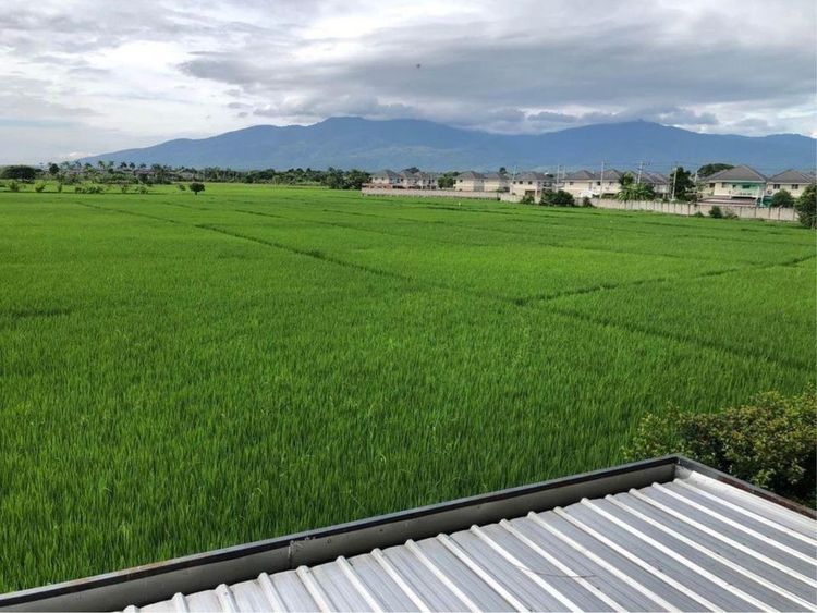 08RHC010 บ้านเดี่ยวสองชั้น ปล่อยเช่า 16000 บาท แม่ริม  เชียงใหม่, ภาพที่ 4