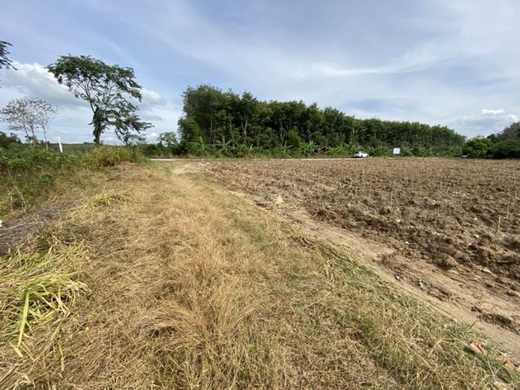 ขายที่ดิน 22-0-81 ไร่ ซอยสายหนองกรับ-โรงน้ำตาล ห่างจากถนน 3574 เพียง 1, ภาพที่ 4