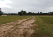 ขายที่ดินใกล้สถานีขนส่งจังหวัดตาก ถนนพหลโยธิน อำเภอเมือง ตาก