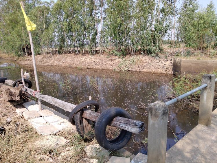 ขายที่ดิน เหมาะสำหรับปลูกข้าวและทำการเกษตร ต.น้ำปลีก อ.เมือง, ภาพที่ 4
