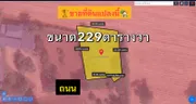 ขาย ที่ดิน 229 ตารางวา ตำบลขนงพระ อำเภอปากช่อง จังหวัดนครราชสีมา