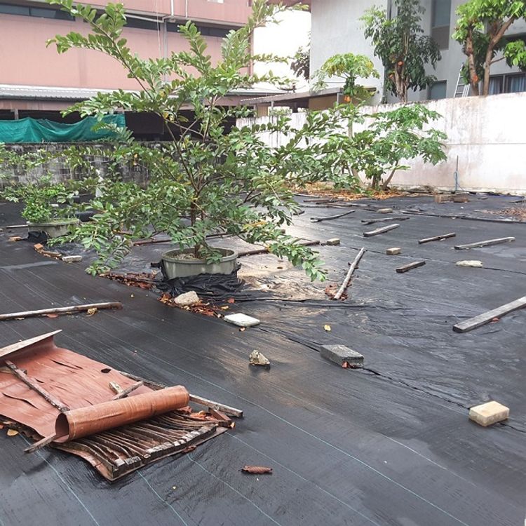 ขาย 4.49 ล้าน ที่ดิน ตำบลวัดชลอ อำเภอบางกรวย จังหวัดนนทบุรี, ภาพที่ 4