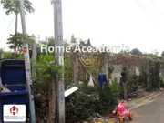 ขายที่ดินเปล่า 100 ตรว. ซอยนวมินทร์ 163 แยก รามอินทรา คันนายาว