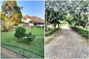 ที่ดินพร้อมบ้านเดี่ยว 2 ชั้น เนื้อที่เยอะ 3-2-81 ไร่ พร้อมต้นสักอายุ 30 ปี สามารถนำมาสร้างบ้านได้ ติดลำเหมือง มองเห็นวิวภูเขา น้ำไม่ท่วม อ.ดอยสะเก็ด จ.เชียงใหม่