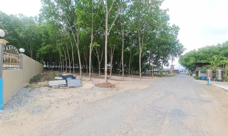 ขายที่ดิน ซอย 1 ต.แม่น้ำคู้ อ.ปลวกแดง จ.ระยอง ขนาด 100 ตรว, ภาพที่ 4
