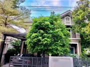 T02043 ขายบ้านเดี่ยว 2 ชั้น หมู่บ้านกรีนวิวโฮม หน้ามหาวิทยาลัยแม่โจ้ ตกแต่งพร้อมเฟอร์นิเจอร์ต่างๆ