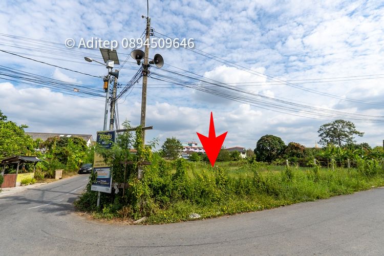 ให้เช่าที่ดิน บางบัวทอง 266 ตรว.  ที่ถมแล้ว แปลงมุม แยกบางพลู, ภาพที่ 4