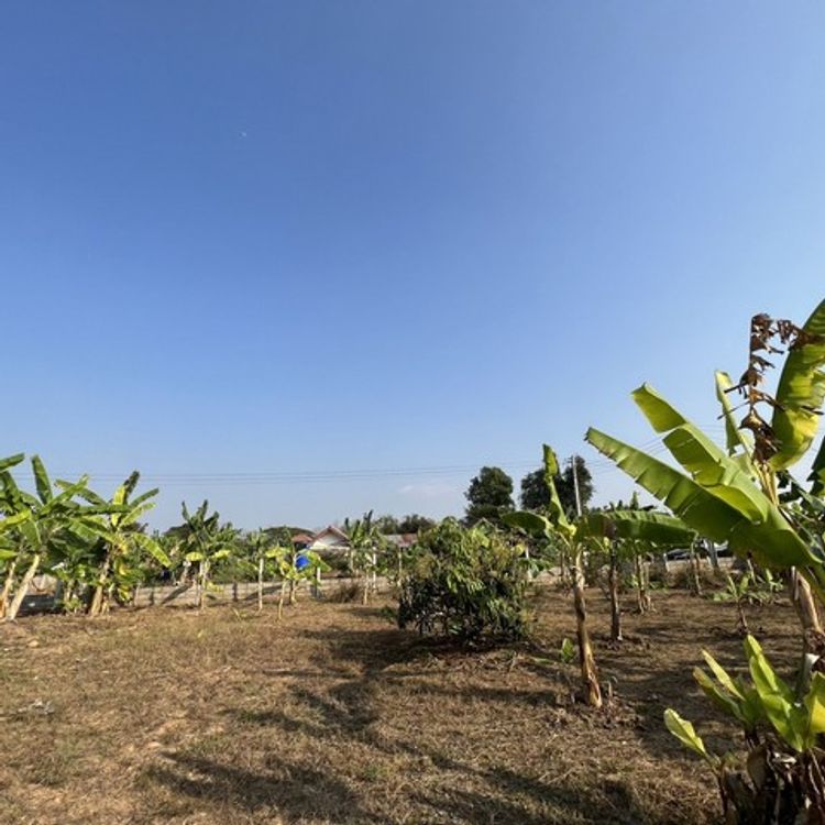 ขายที่ดินแปลงสวย แหล่งชุมชน  ที่ดิน บ้านปางลาว ตำบลบ้านดู่ เชียงราย , ภาพที่ 4
