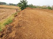 ขายผ่อนที่ดินจัดสรรทั้งหมด 3 แปลง ที่ดินสวย ทำเลดี ใกล้บิ๊กซีสุโขทัย