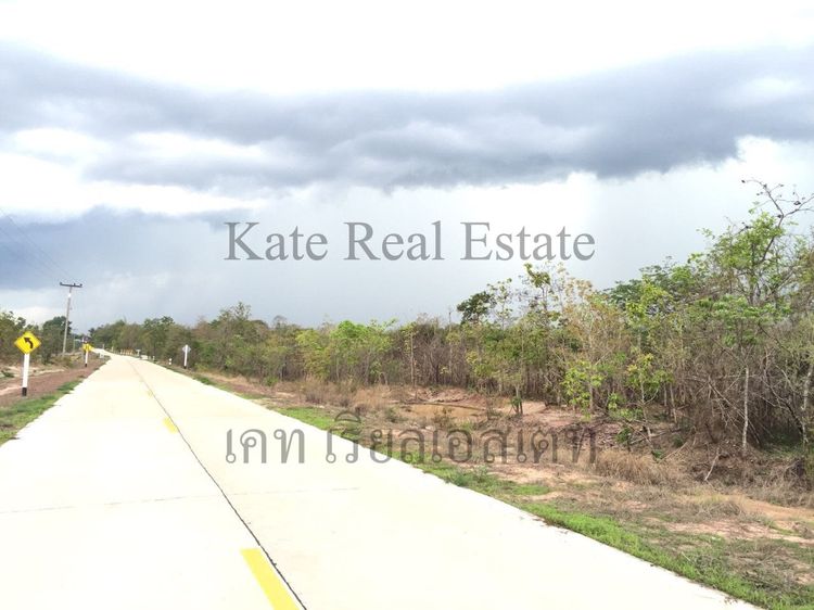 ขาย ที่ดิน ตำบลพิบูล อำเภอพิบูลมังสาหาร จังหวัดอุบลราชธานี, ภาพที่ 4
