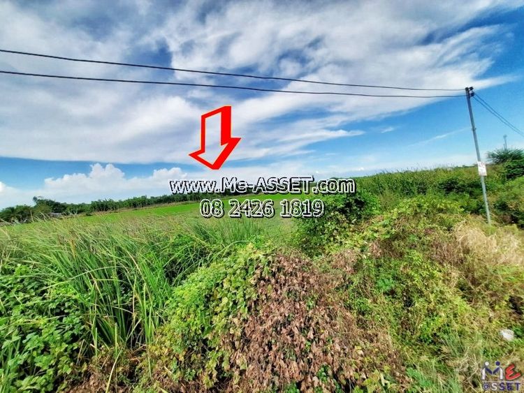 ขายที่ดินเปล่า ย่าน บึงทองหลาง ลำลูกกา คลอง11 : ใกล้บริษัท กิตติ จำกัด, ภาพที่ 4