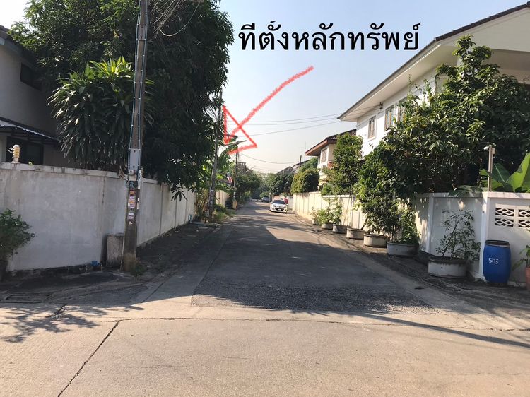 ขายด่วน! ที่ดินเปล่า พุทธมณฑลสาย  1 หมู่บ้านมหาดไทย 1 เนื้อที่ 62 , ภาพที่ 4