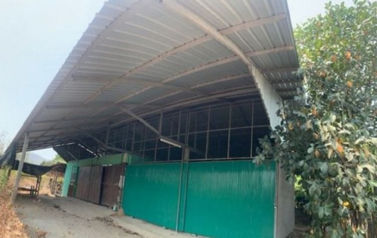 ขายโกดังโครงการ บ้านทุ่งปูน จอมทอง เชียงใหม่ PSC10813, ภาพที่ 4
