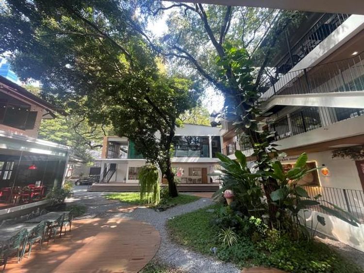 ให้เช่าบ้านเดี่ยว 250 ตร.ม. ย่านเพลินจิต ชิดลม ลุมพินี หลังสวน, ภาพที่ 4