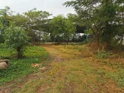 ขาย โกดัง / โรงงาน ตำบลหนองขอนกว้าง 