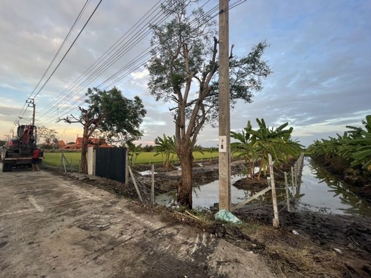 ขายด่วน ที่ดินทำเลทอง ขนาด 488 ตรว. ตำบลขุนศรี อำเภอไทรน้อย , ภาพที่ 4