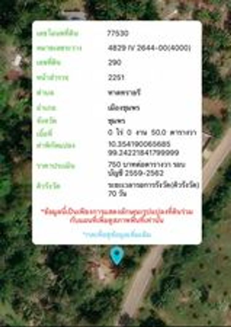ที่ดินใกล้ทะเลติดภูเขา อ่าวทุ่งมะขาม ตำบลหาดทรายรี อำเภอเมืองชุมพร, ภาพที่ 4