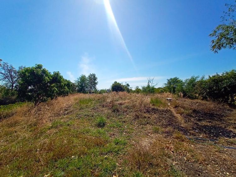 ขาย ที่ดิน ตำบลนิยมชัย อำเภอสระโบสถ์ จังหวัดลพบุรี, ภาพที่ 4