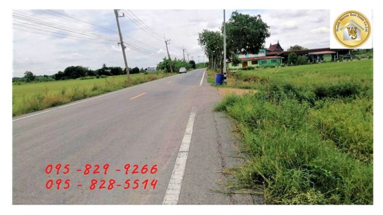 ขายที่ดิน 49-1-29 ไร่ ติดถนนหลักสาธารณะ 12 ม.ใกล้ ม.ชินวัตร สาธารณูปโภค, ภาพที่ 4