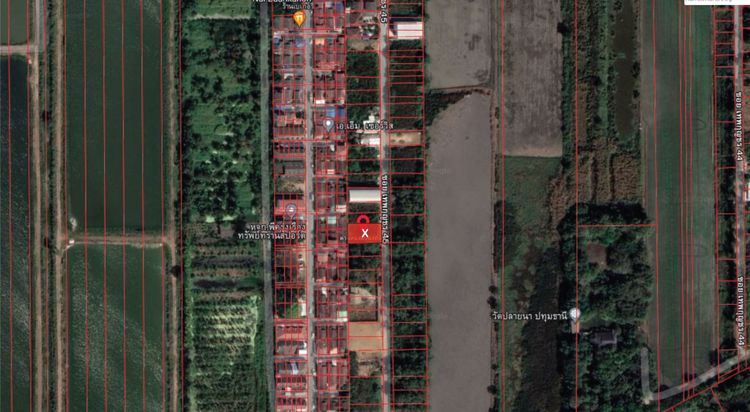 ขายที่ดิน 150 ตรว. ผังสีม่วง ซ.เทพกุญชร 45 คลอง 1 อ.คลองหลวง จ.ปทุมธานี, ภาพที่ 4