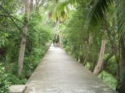 ให้เช่าที่ดินเปล่าระยะกลาง ยาว 2ไร่ ปากเกร็ด นนทบุรี 
