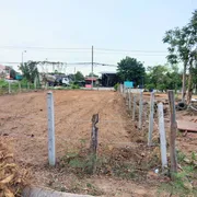 ขาย ที่ดิน ตำบลเนินขาม อำเภอเนินขาม จังหวัดชัยนาท