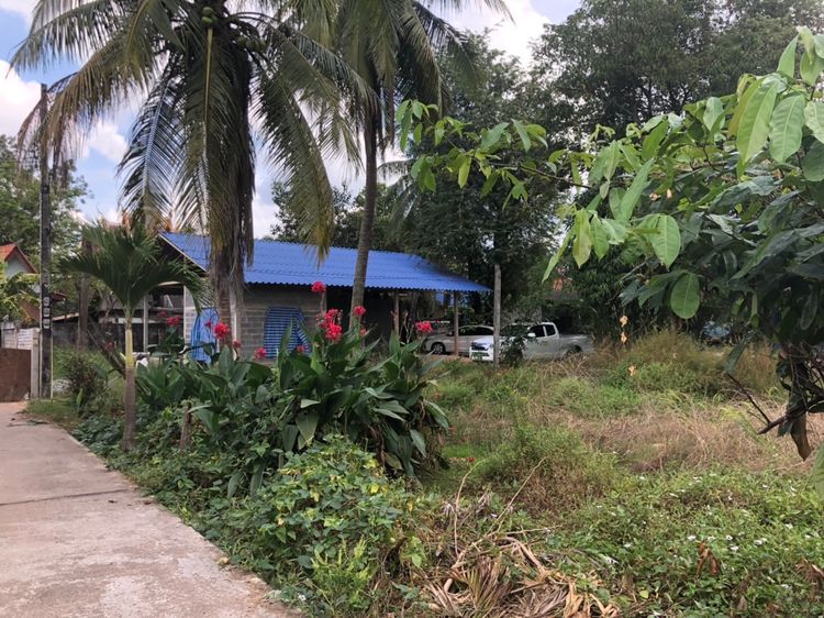 ขาย ที่ดิน ตำบลนาดี อำเภอนาดี จังหวัดปราจีนบุรี, ภาพที่ 4