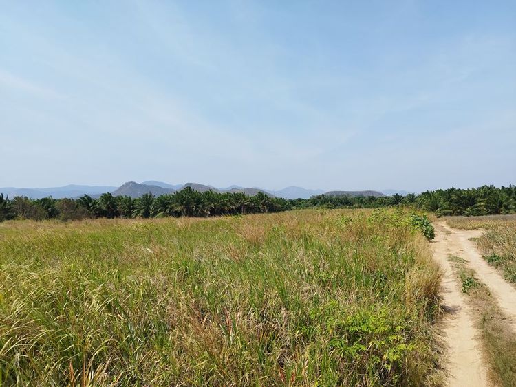 ขายที่ดิน 10 ไร่ บ้านยุบพริก ตำบลบ่อนอก อำเภอเมืองประจวบคีรีขันธ์ โทร, ภาพที่ 4