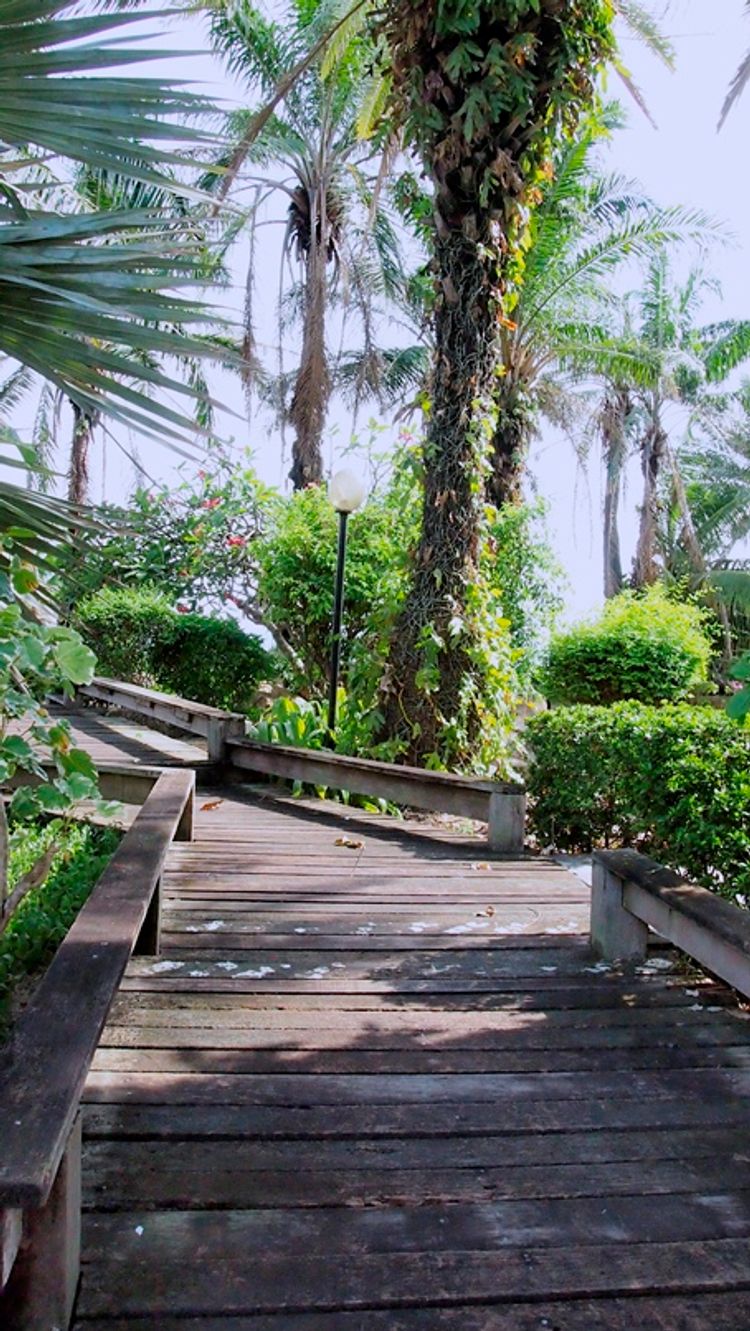ขายคอนโด P.M.Y. Beach Condominium วิวสวย อำเภอเมืองระยอง จังหวัดระยอง, ภาพที่ 4