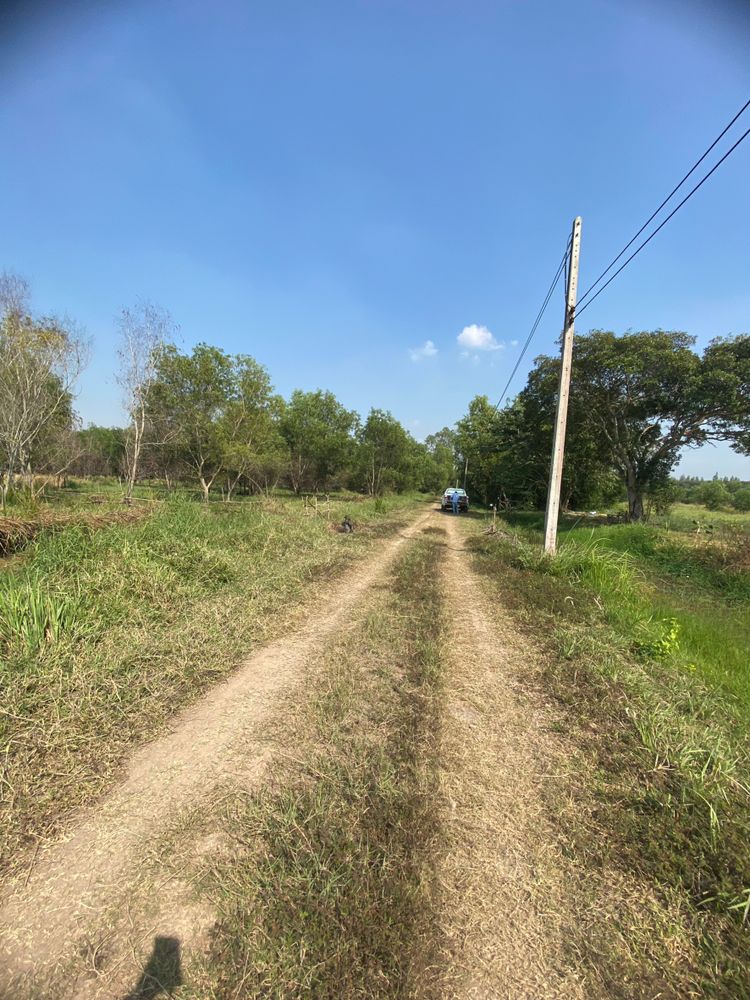 ขาย ที่ดิน ตำบลนพรัตน์ อำเภอหนองเสือ จังหวัดปทุมธานี, ภาพที่ 4