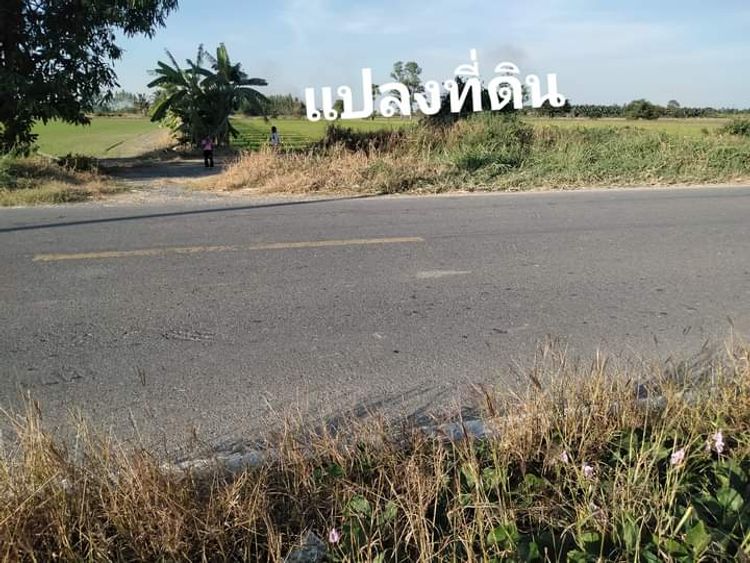 ขาย ที่ดิน ตำบลสีบัวทอง อำเภอแสวงหา จังหวัดอ่างทอง, ภาพที่ 4