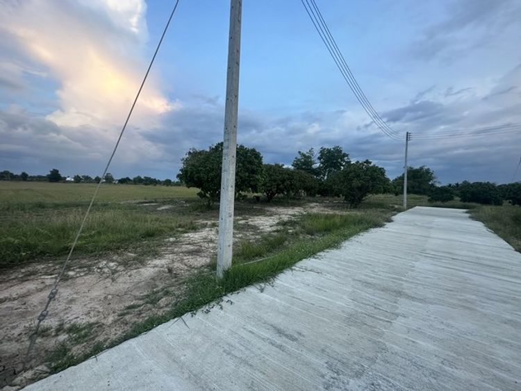 ขายที่ดิน สวนลำไย 144ตรว.900,000บ.ฟรีโอน น้ำประปา ไฟฟ้า ถนนคอนกรีต, ภาพที่ 4
