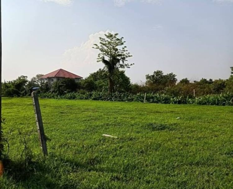 ขายที่ดินเปล่าเพียง 1.6 ล.เท่านั้น เนื้อที่ 112 ตรว. #บ้านแหวน​ #หางดง, ภาพที่ 4