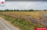 ขาย ที่ดิน ตำบลศรีณรงค์ อำเภอชุมพลบุรี จังหวัดสุรินทร์