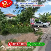 ขายที่ดินถูกมาก ซ.แสมดำ 3 บางขุนเทียน ใกล้ถนนพระราม 2 หลังวัดพรหมรังษี พื้นที่ 40 ตรว. ติดบ้านเช่าสีรุ่ง ล็อก 6 แปลงสวย