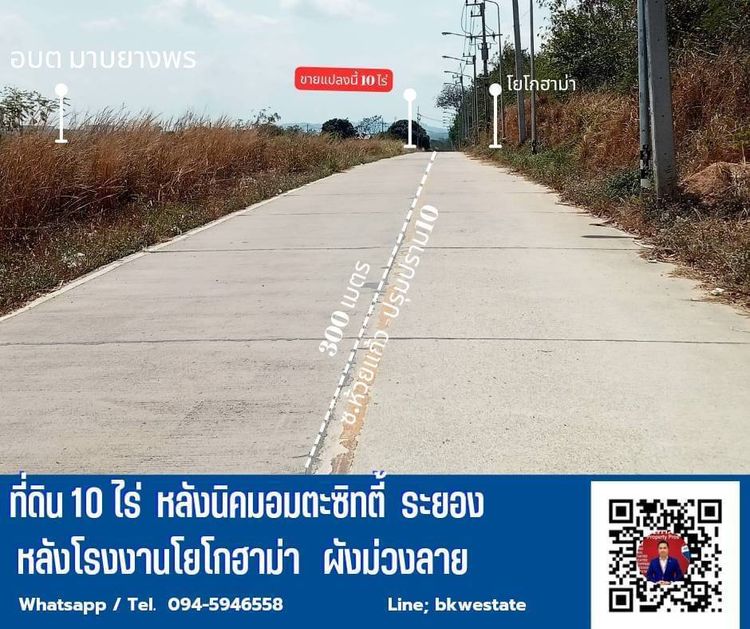 ขายที่ดินติดนิคมอมตะซิทตี้  ปลวกแดง ระยอง หลังโรงงานโยโกฮามา, ภาพที่ 4