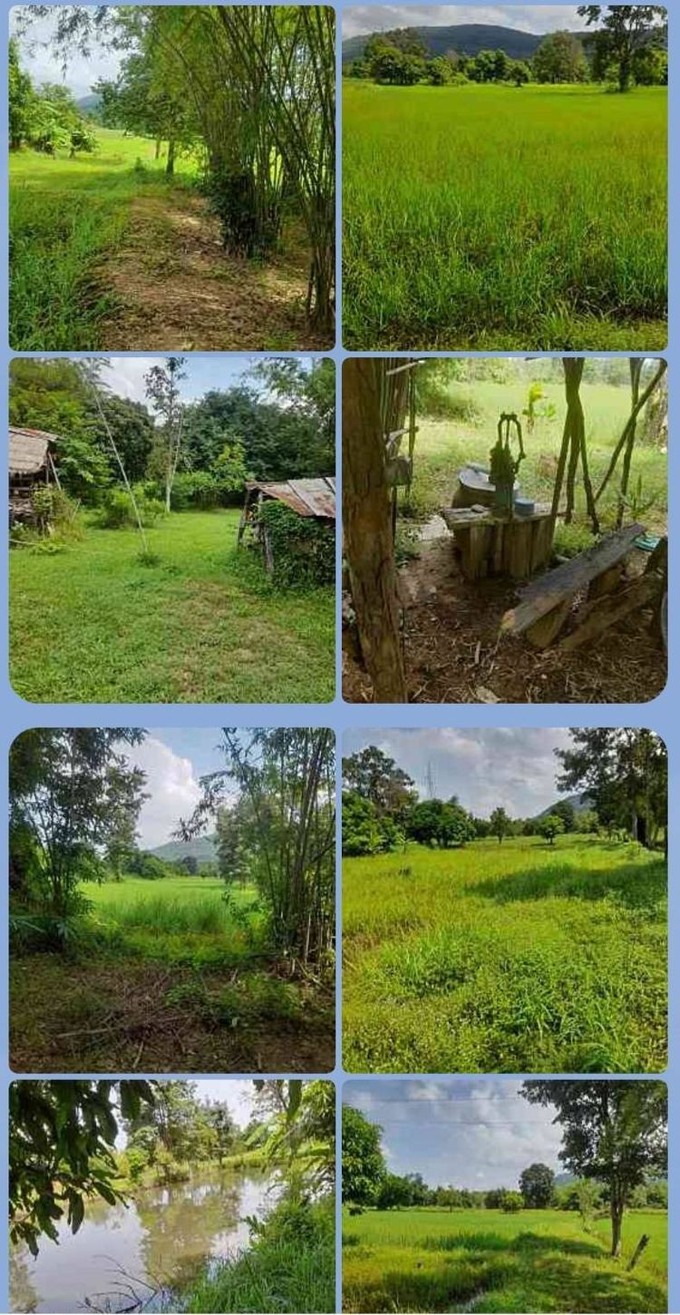 ขาย ที่ดิน อำเภอเมืองหนองบัวลำภู จังหวัดหนองบัวลำภู, ภาพที่ 4