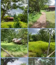 ขาย ที่ดิน อำเภอเมืองหนองบัวลำภู จังหวัดหนองบัวลำภู