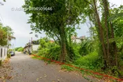 ขายที่ดิน 200 ตรว. ซอยวัดลาดปลาดุก นนทบุรี เหมาะปลูกบ้าน ใกล้ถนนกาญจนาภิเษก รถไฟฟ้าสายสีม่วง เซ็นทรัลเวสต์เกต