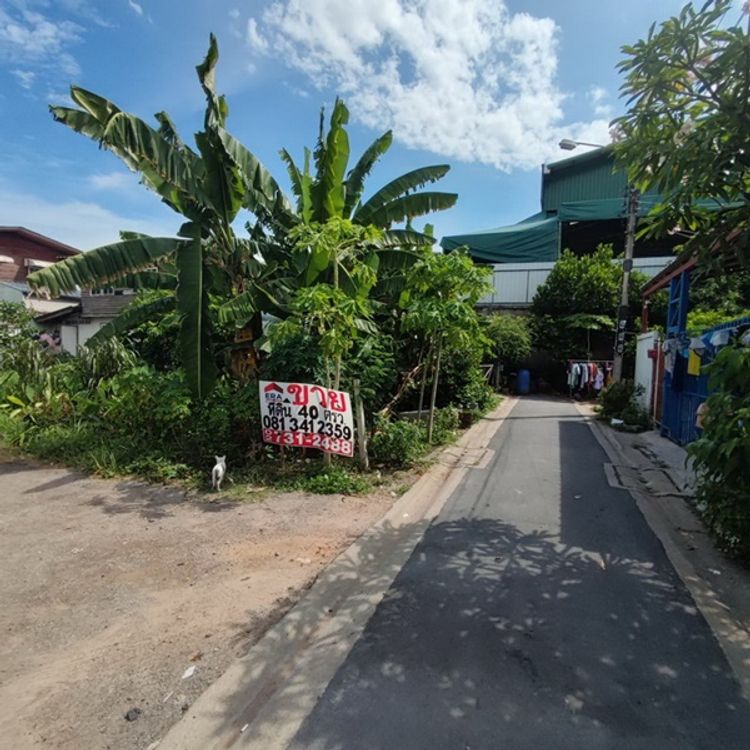 ขายที่ดินถูกมาก ซ.แสมดำ 3 หลังวัดพรหมรังษี ใกล้ถนนพระราม 2 บางขุนเทียน, ภาพที่ 4